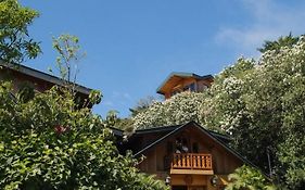 贝尔马酒店 Monteverde Exterior photo