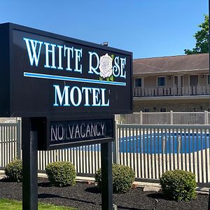 White Rose Motel - 赫尔希镇 Exterior photo