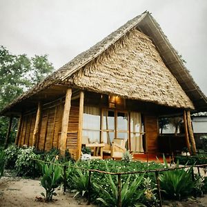 Maisara Mafia Beach Lodge Kilindoni Exterior photo