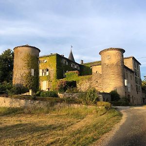 Chateau De Montcuquet Lautrec Exterior photo
