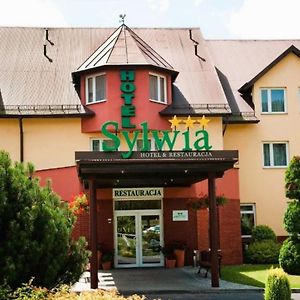 锡尔维亚酒店 Sośnicowice Exterior photo