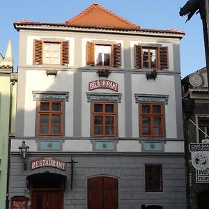 友特贝利派尼酒店 Český Krumlov Exterior photo