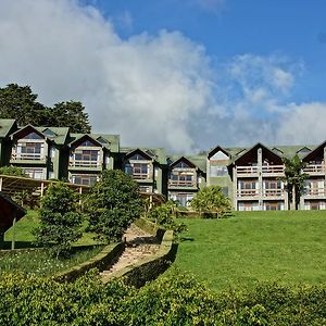 厄尔爱斯达梦泰恩酒店 Monteverde Exterior photo