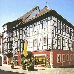 朱姆兰酒店 Gundelsheim  Exterior photo
