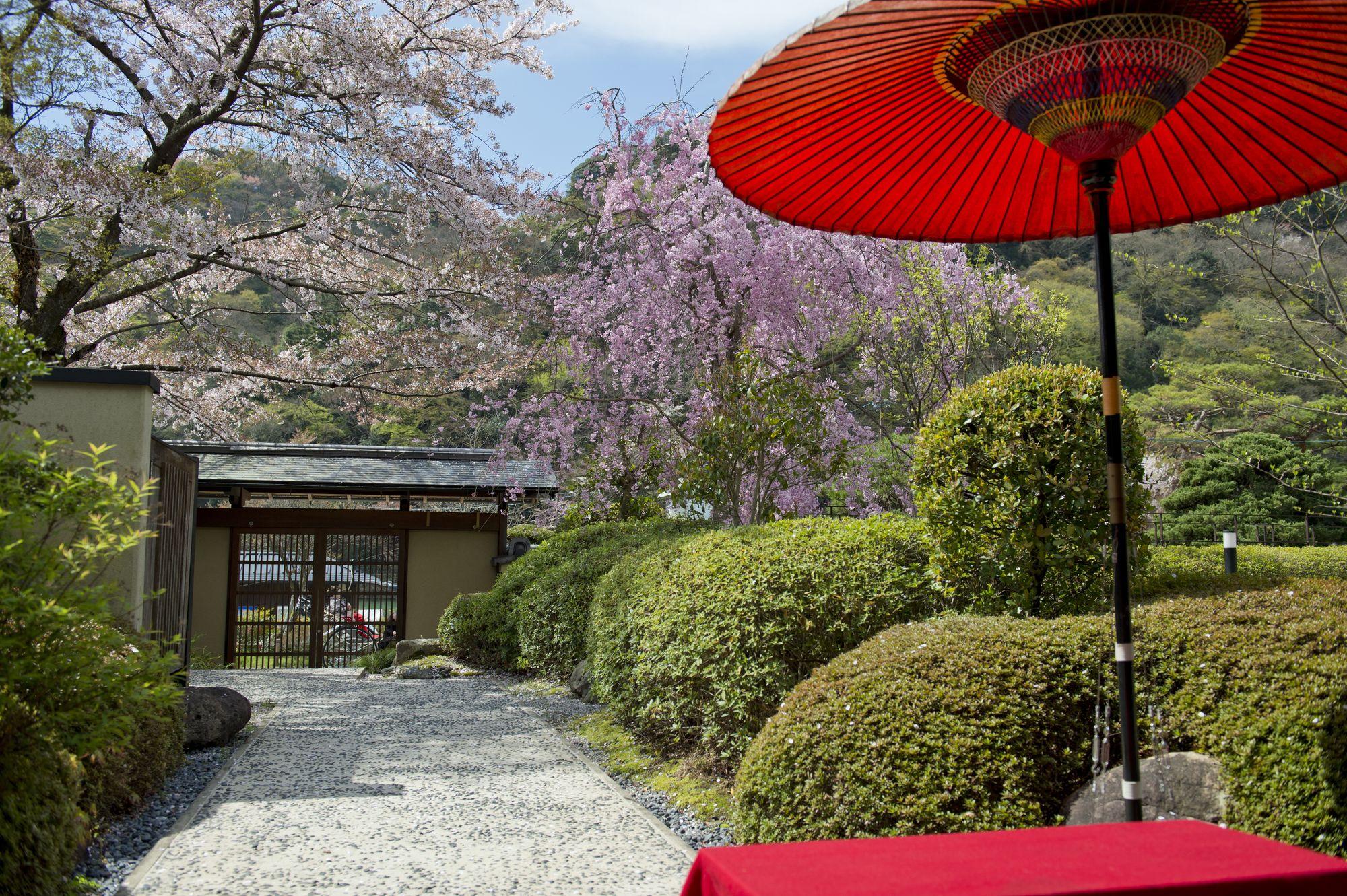 京都 蓝赞旅馆酒店 外观 照片