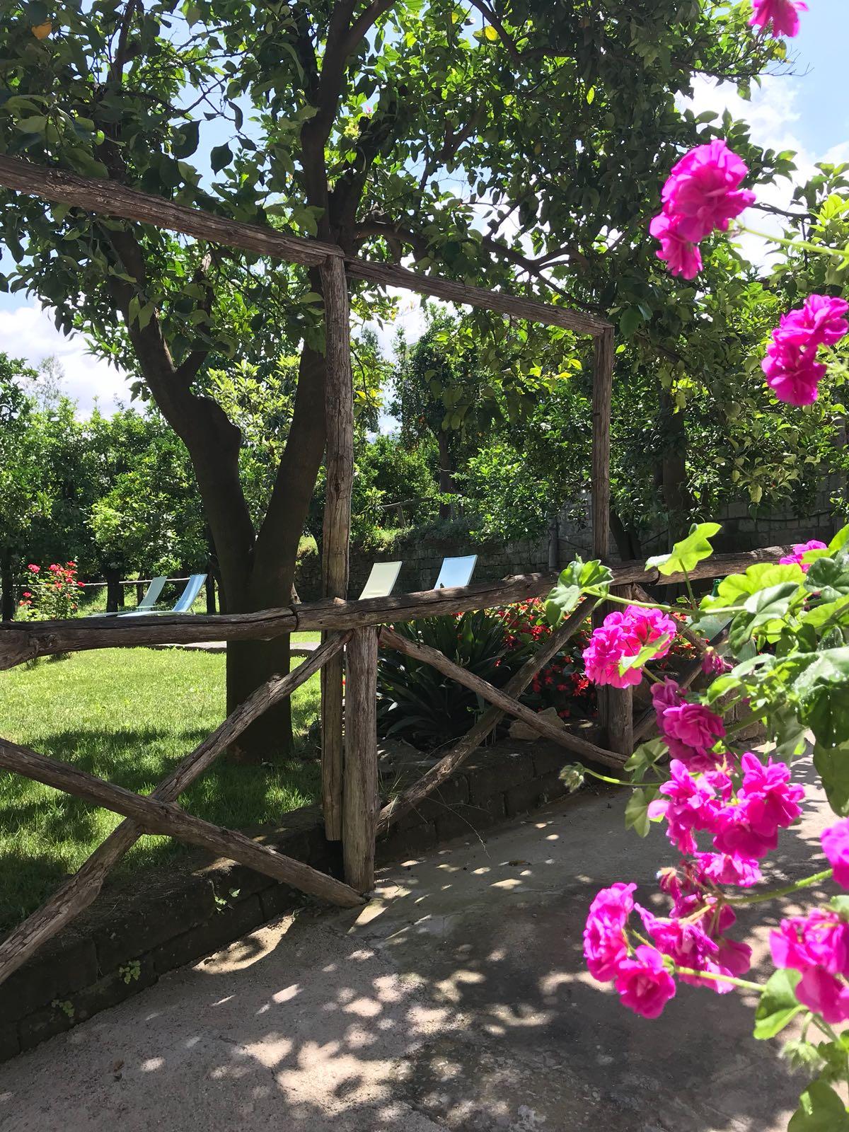 科雷亚莱花园住宿加早餐旅馆 索伦托 外观 照片