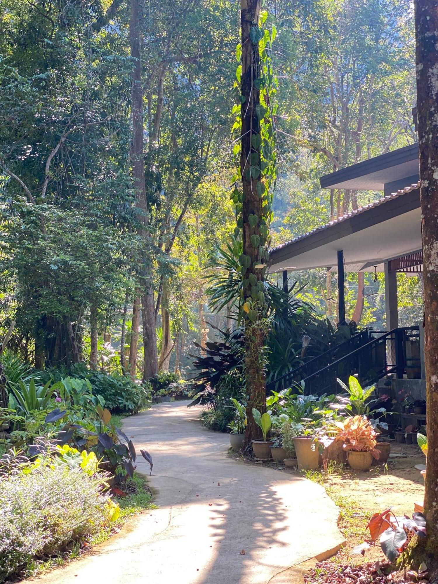 考索自然度假酒店 Khao Sok National Park 外观 照片