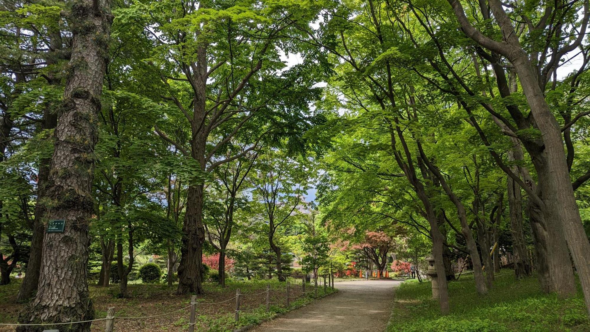 普乐美雅饭店 中岛公园 札幌酒店 外观 照片