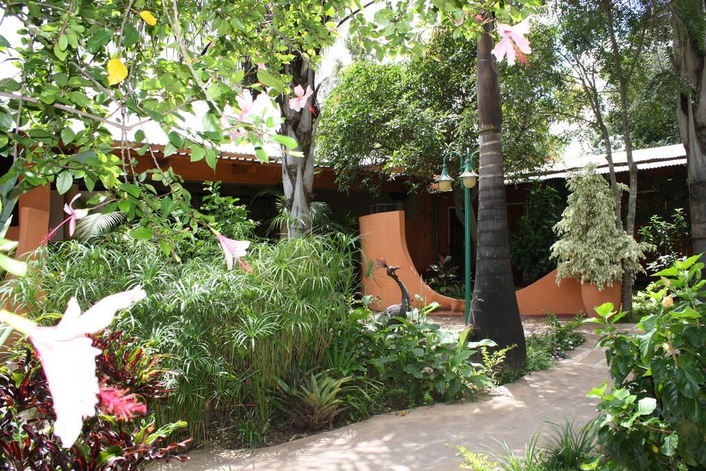 棕榈木山林小屋 卢萨卡 外观 照片