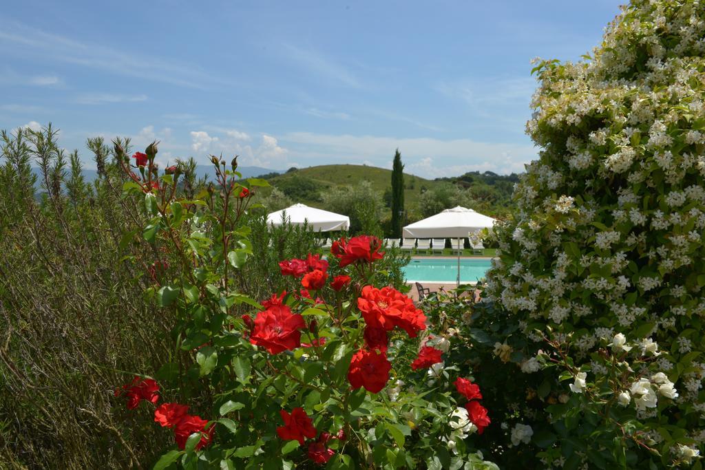 切雷托圭迪Agriturismo Musignano别墅 外观 照片