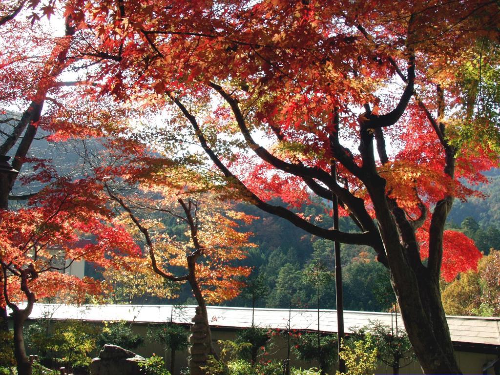 京都 然林房旅馆酒店 外观 照片