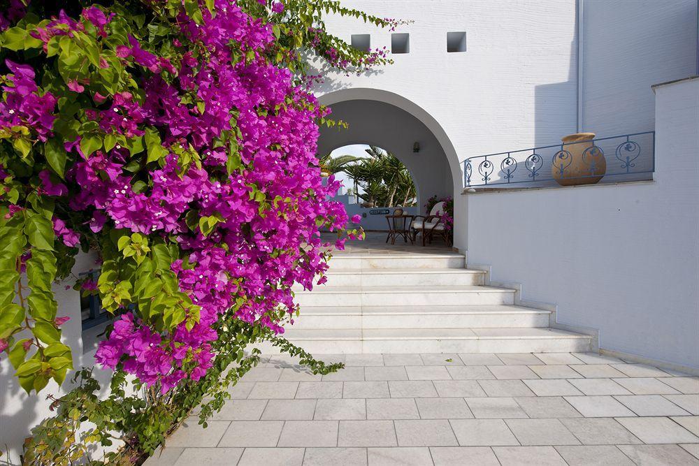 Ammos Naxos Naxos City 外观 照片