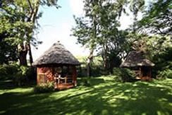 Mount Meru Game Lodge 阿鲁沙 外观 照片