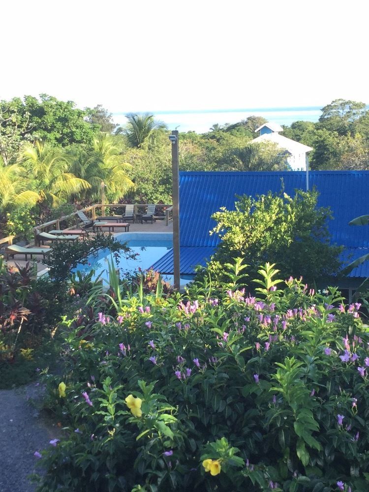 Guava Grove Resort & Villas 桑迪湾 外观 照片