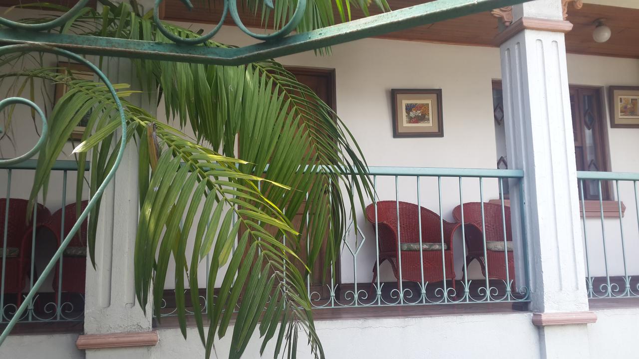 聖荷西 La Rosa Del Paseo酒店 外观 照片