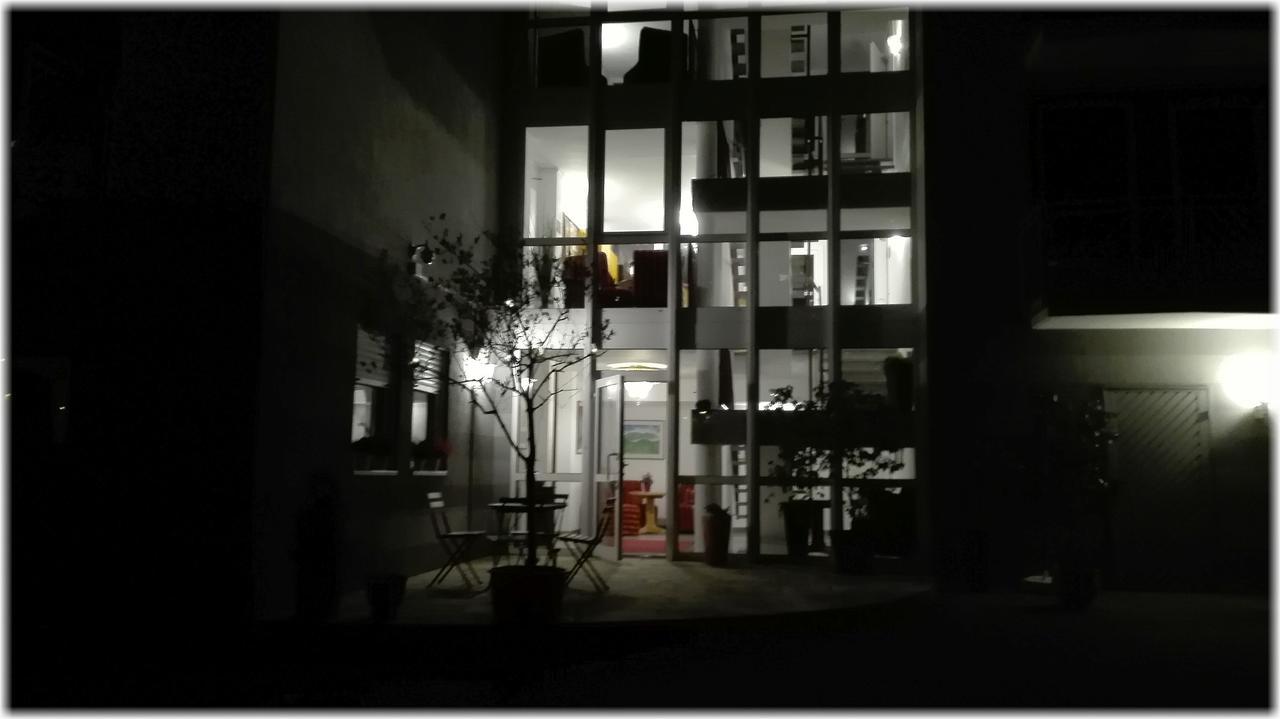 奈克卡尔拉科斯酒店 海德堡 外观 照片