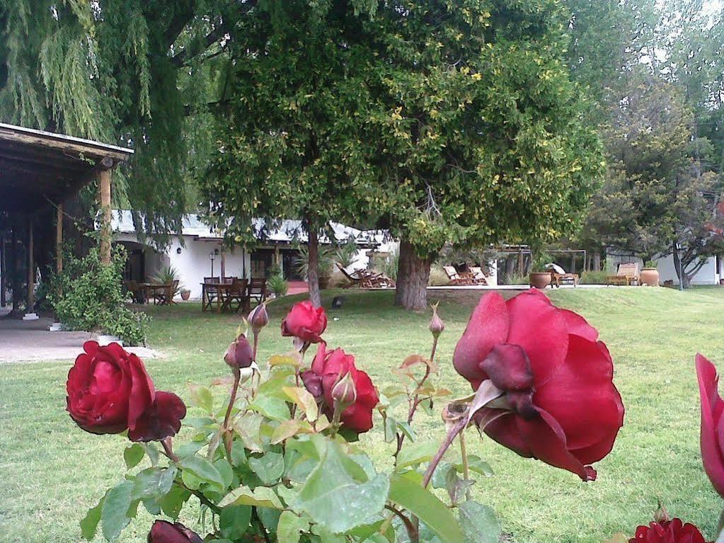 泊戴斯巴耶 - 合众精品酒店 Colonia Las Rosas 外观 照片