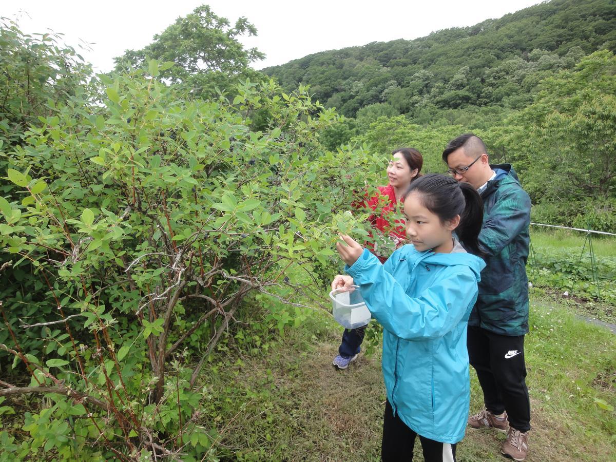 网走 阿尼玛萨托农场旅馆旅馆 外观 照片