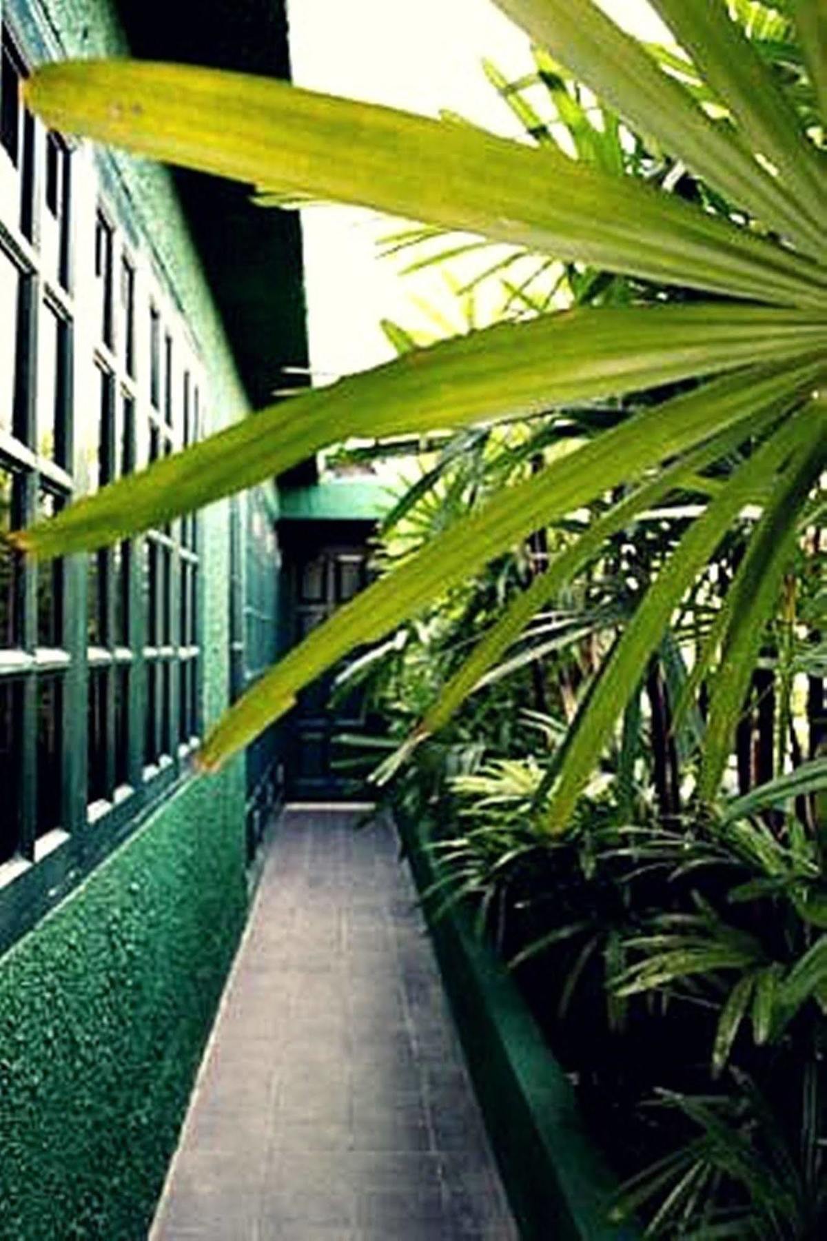 Rainforest Bed & Breakfast 吉隆坡 外观 照片