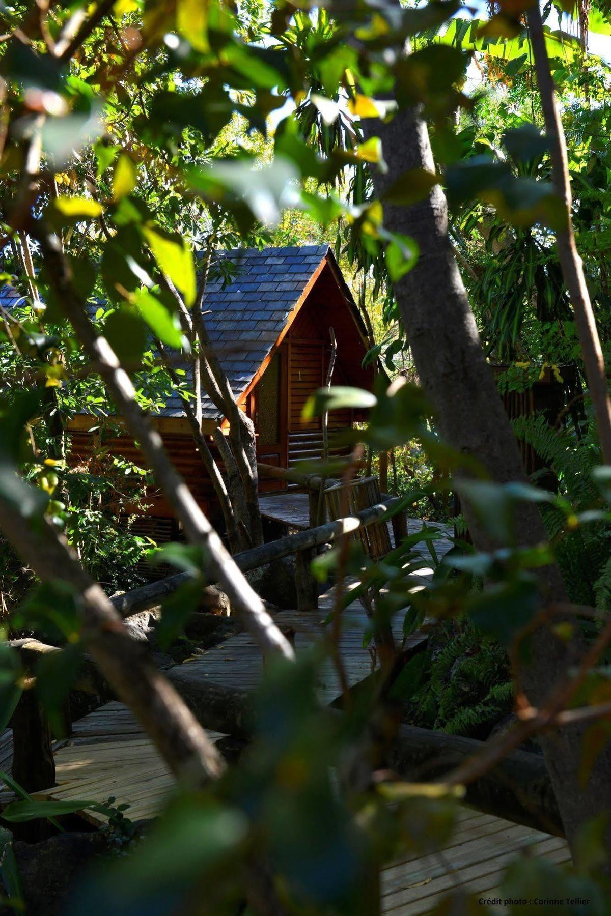 圣丹尼斯 罗氏绢毛猴水疗小屋酒店 外观 照片