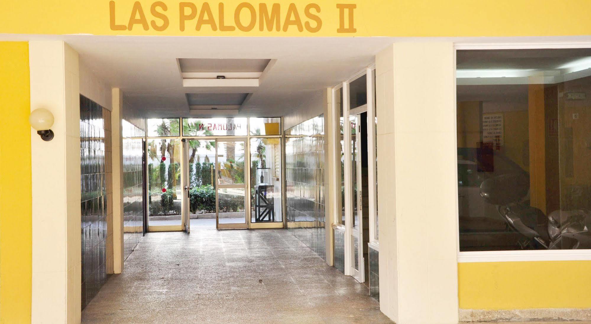 拉斯帕洛马斯经济公寓 Palmanova 外观 照片