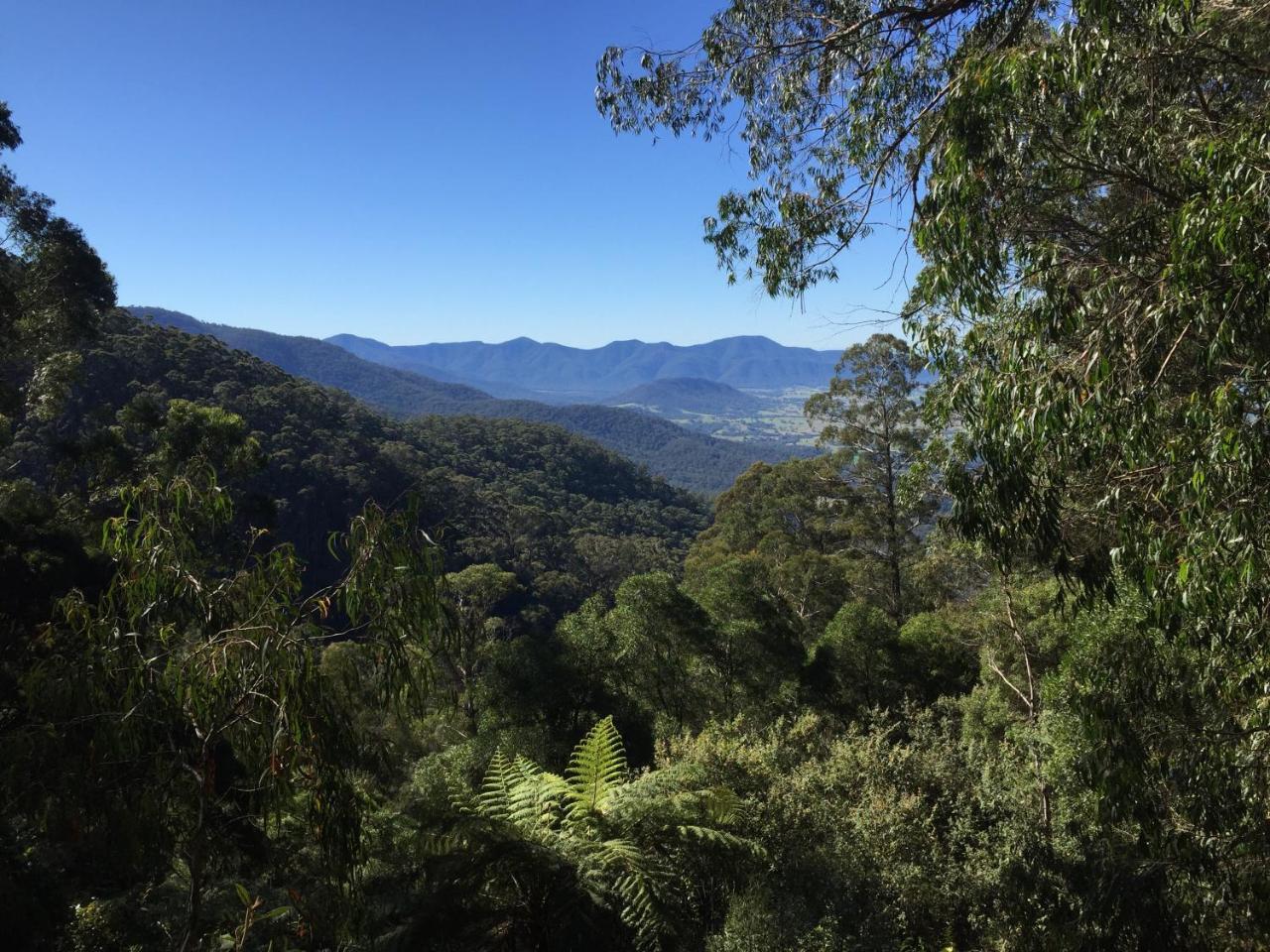 伊甸高尔夫景观汽车旅馆 伊登 外观 照片