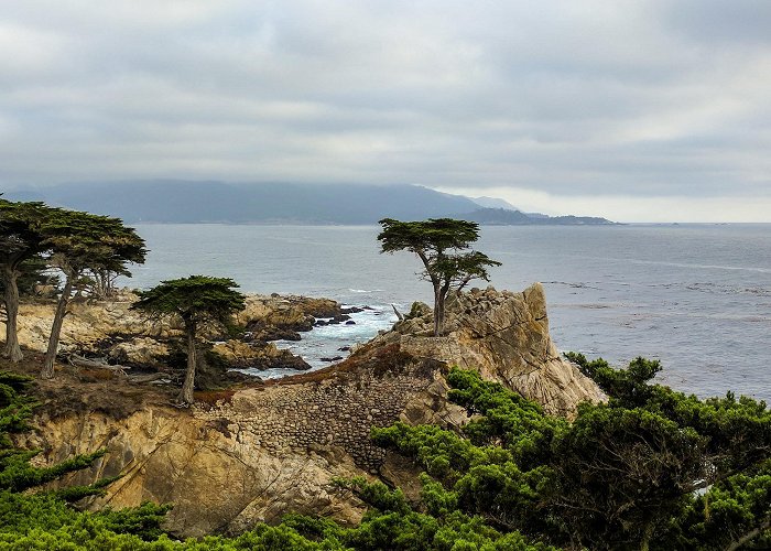 17-Mile Drive photo