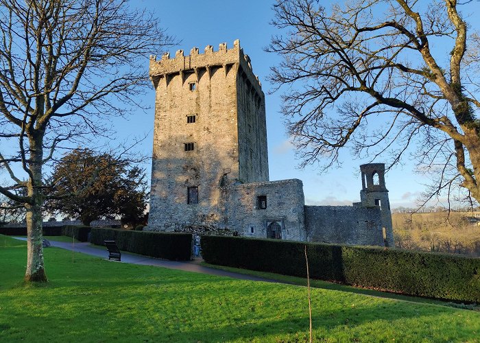 Blarney Stone photo