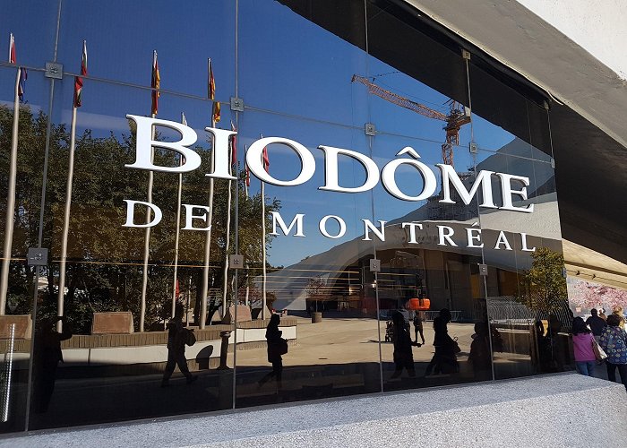 Montreal Biodome photo