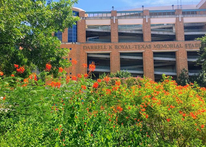 Darrell K Royal Texas Memorial Stadium photo