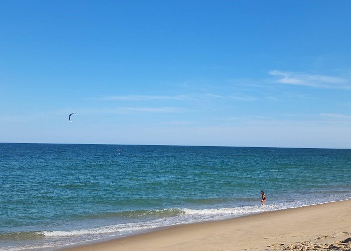 Fenwick Island State Park photo