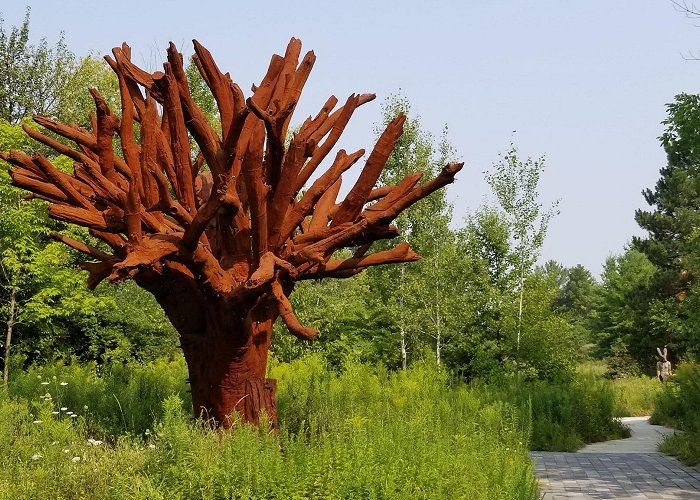 Frederik Meijer Gardens & Sculpture Park photo