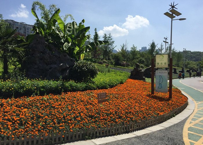 Guanshanhu Park photo