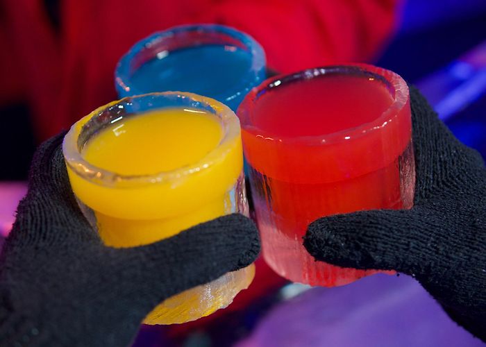 Icebar photo