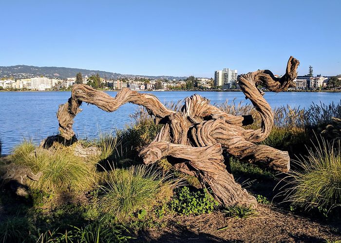 Lake Merritt photo