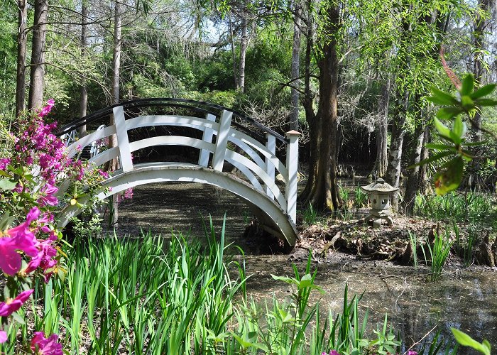 Magnolia Plantation and Gardens photo