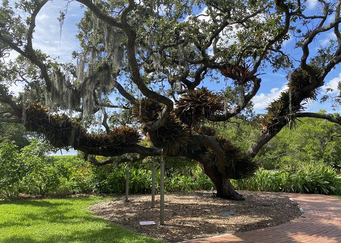 Marie Selby Botanical Gardens photo