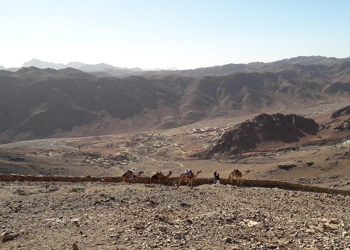 Mount Sinai photo