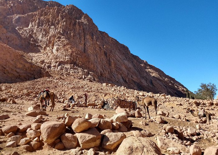 Mount Sinai photo