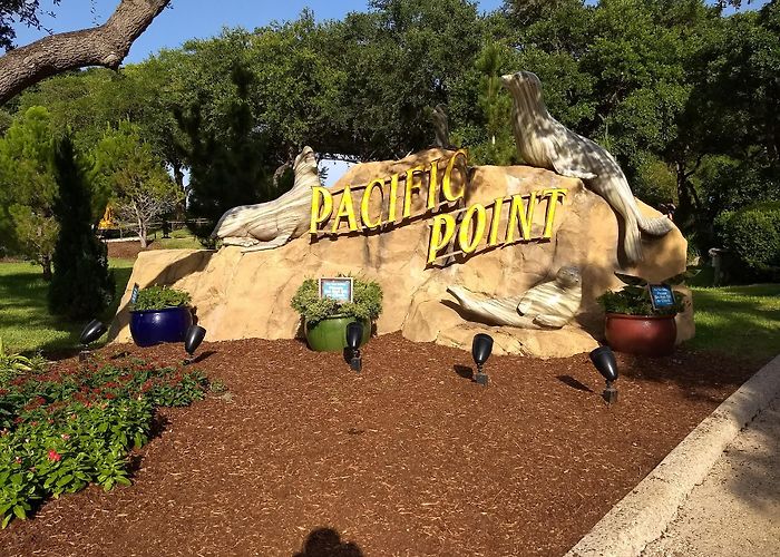 SeaWorld San Antonio photo