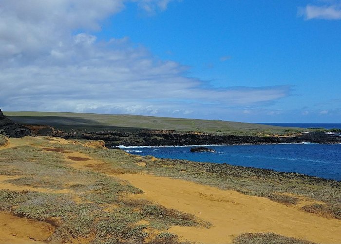 Punaluʻu Black Sand Beach photo