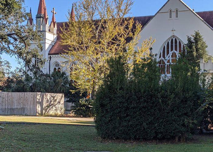 Spring Hill College photo