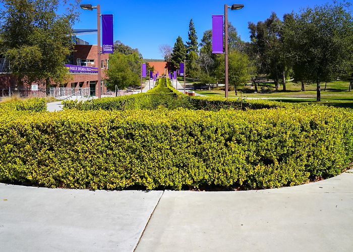 California Lutheran University photo
