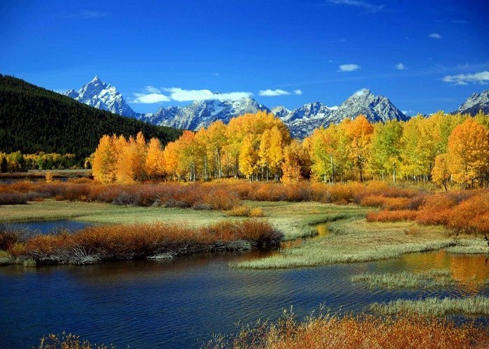 Yellowstone National Park West Entrance photo