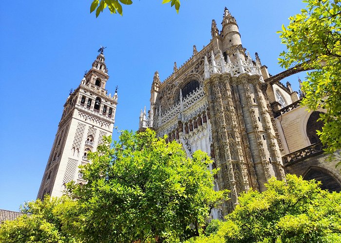 Seville Cathedral photo