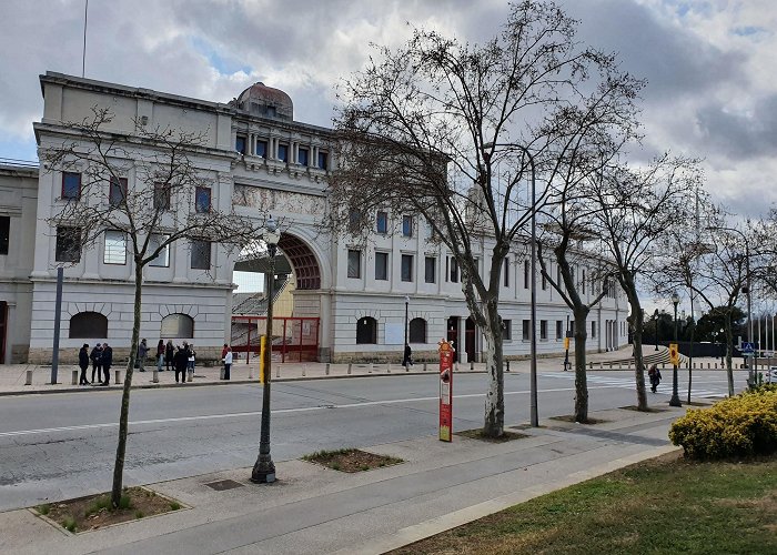 Estadi Olímpic Lluís Companys photo