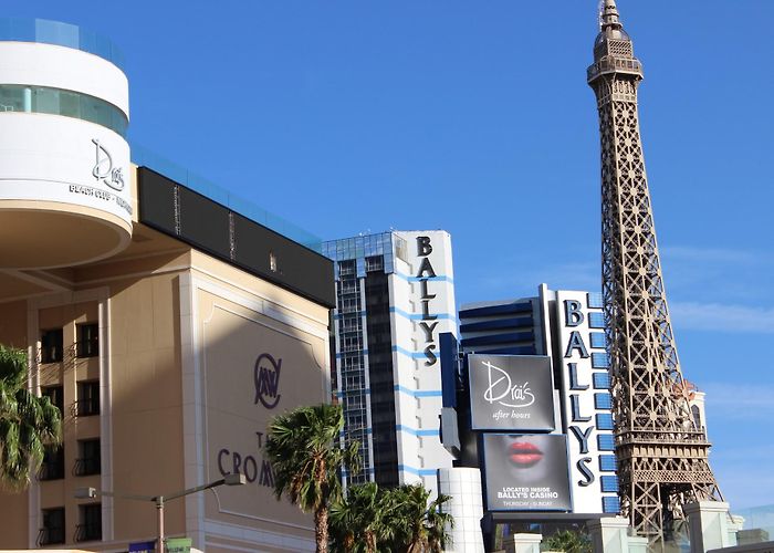 Drai's Beach Club & Nightclub photo