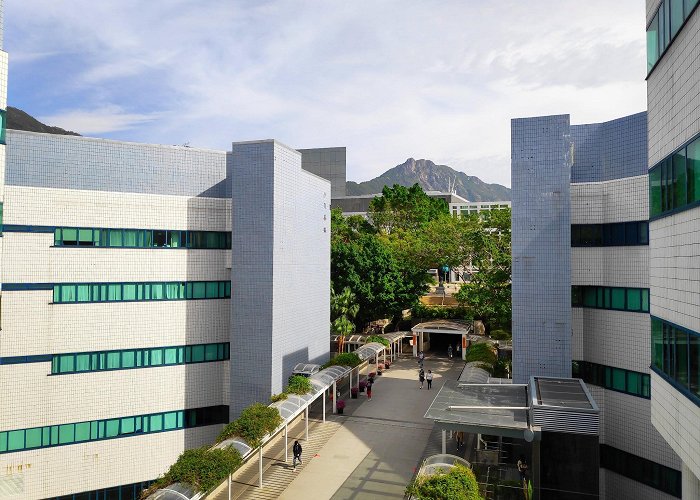 City University of Hong Kong photo