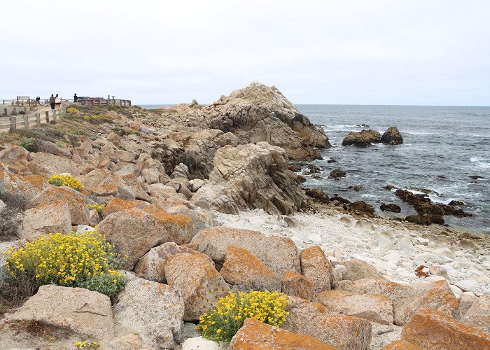 17-Mile Drive photo