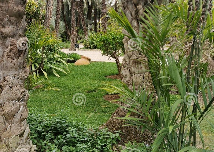 Huerto del Cura Garden Tropical Garden in Elche, Spain. Huerta Del Cura Landscape Design ... photo